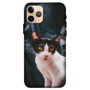 Simple Street Cat iPhone 11 Pro Back Cover