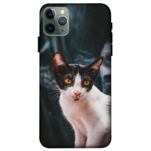 Simple Street Cat iPhone 11 Pro Max Back Cover