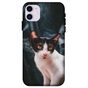 Simple Street Cat iPhone 11 Back Cover