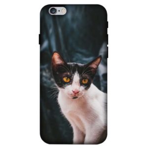 Simple Street Cat iPhone 6 / 6s Back Cover