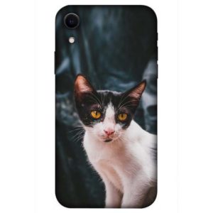 Simple Street Cat iPhone XR Back Cover