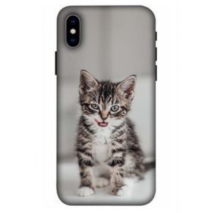 Lip Licking Kitten iPhone x / xs Back Cover