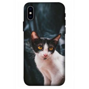 Simple Street Cat iPhone x / xs Back Cover